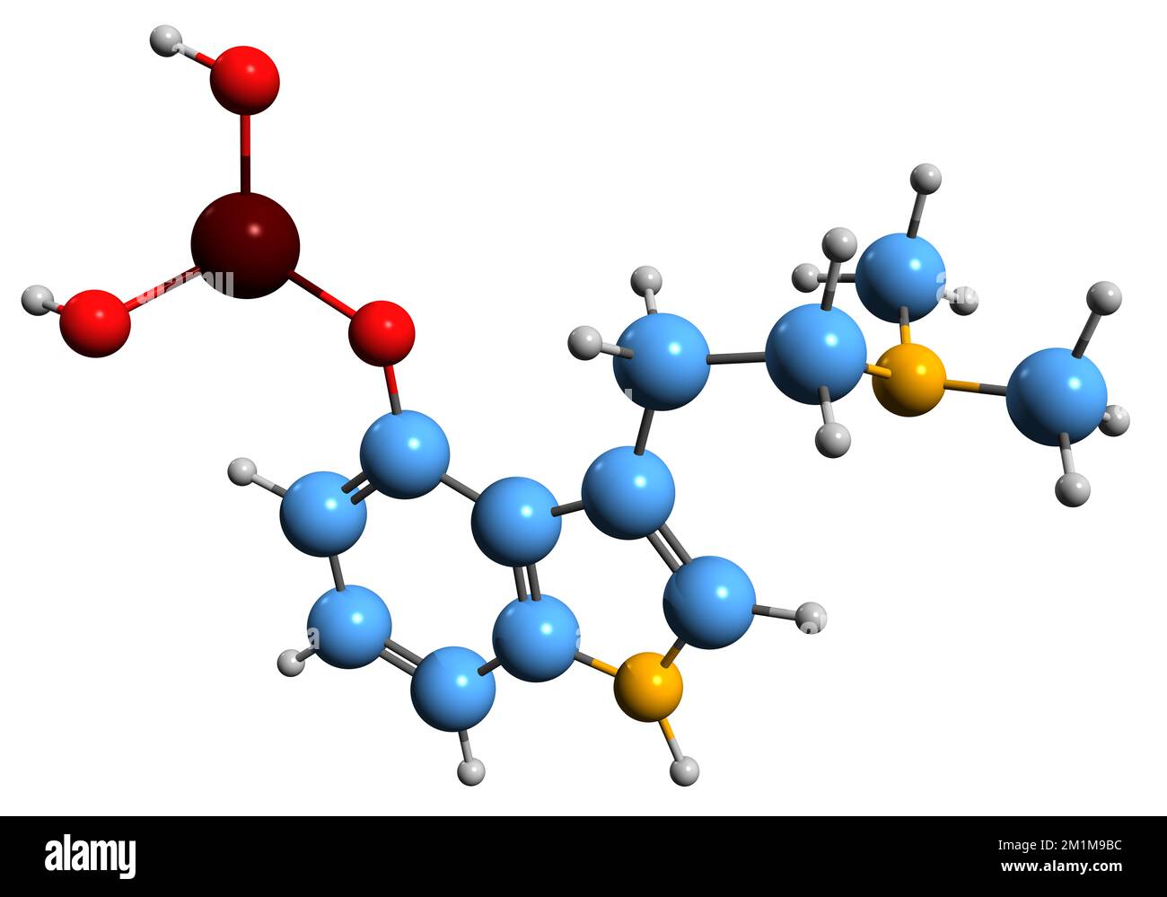3D immagine della formula scheletrica della psilocibina - struttura chimica molecolare del profarmaco psichedelico Psilocibe isolato su sfondo bianco Foto Stock
