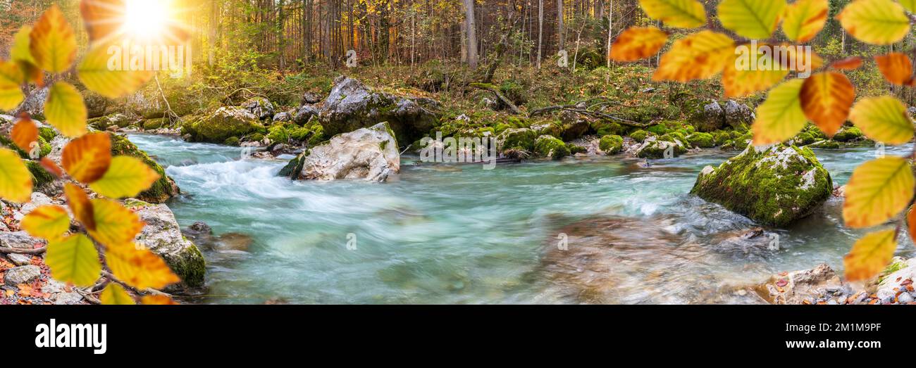 fiume selvaggio con acqua limpida in un bellissimo canyon Foto Stock