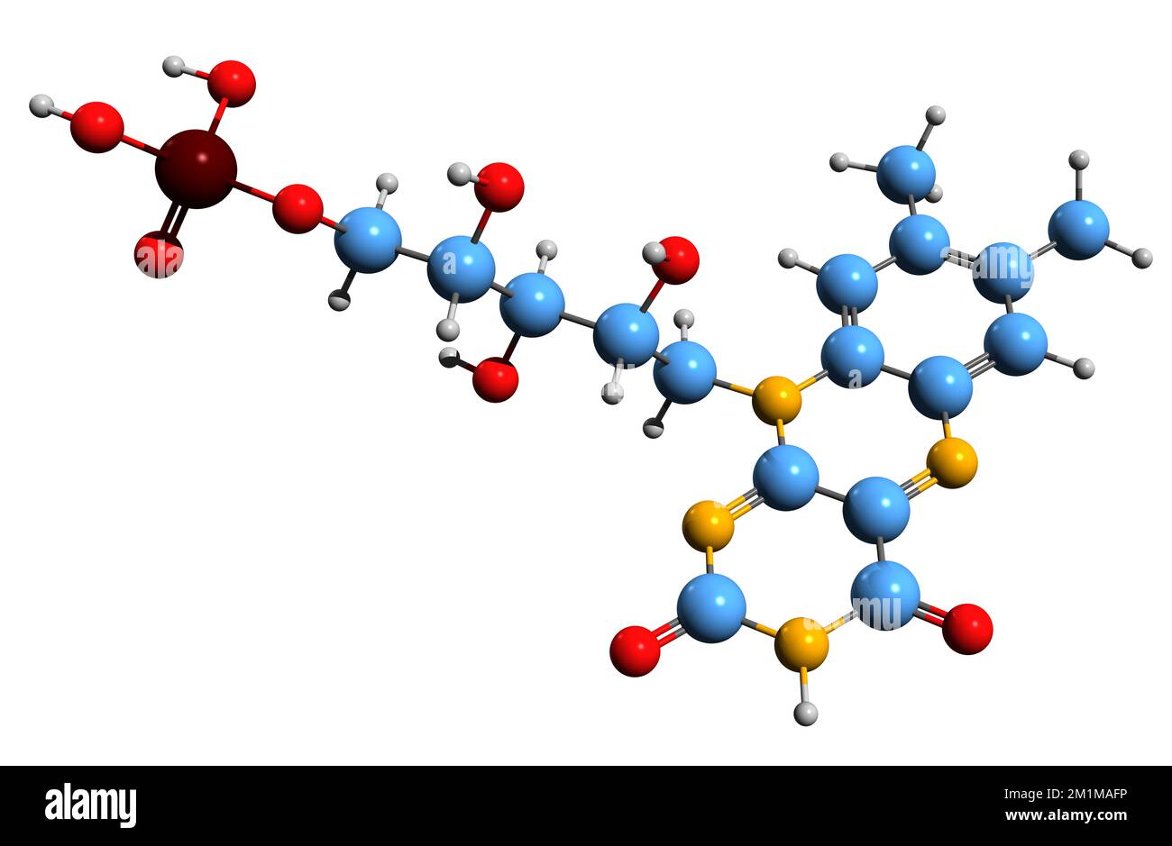 3D immagine di Flavin mononucleotide formula scheletrica - struttura chimica molecolare di riboflavin-5-fosfato isolato su sfondo bianco Foto Stock