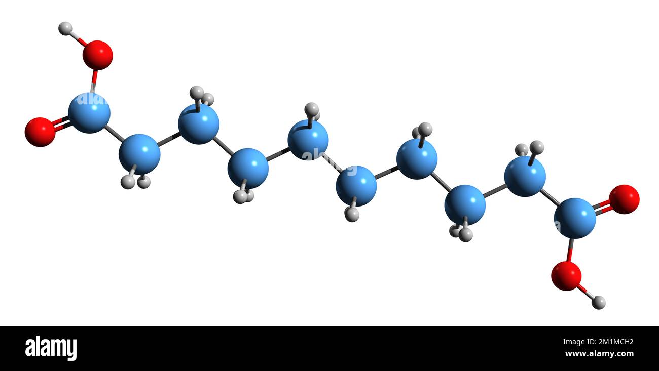 3D immagine della formula scheletrica dell'acido sebacico - struttura chimica molecolare dell'acido decandioico isolato su sfondo bianco Foto Stock