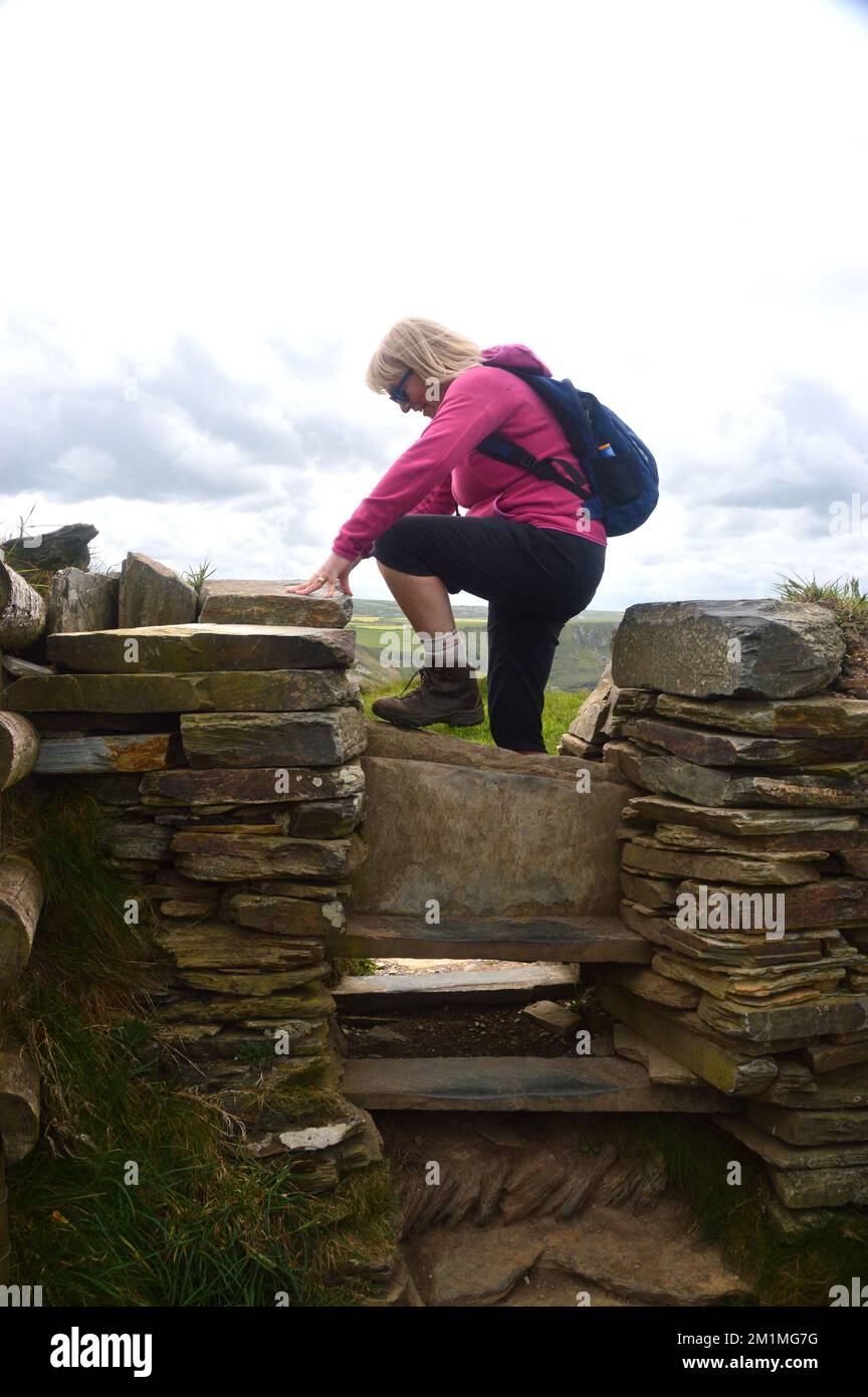 Donna arrampicata scomoda stretta High Stone Slate Stile vicino a Tintagel sul South West Coastal Path in Cornovaglia, Inghilterra, Regno Unito. Foto Stock