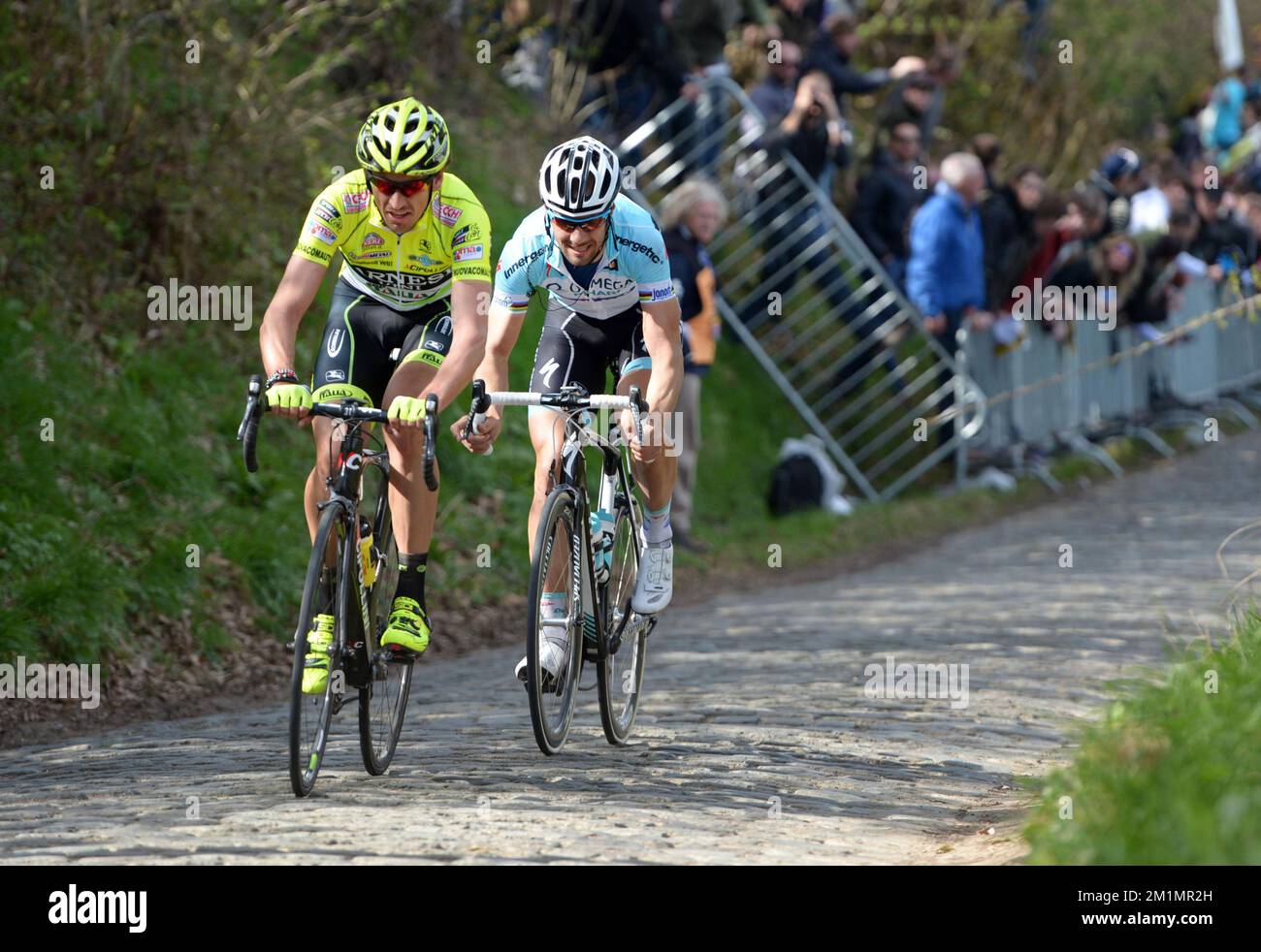 20120401 - KLUISBERGEN, BELGIO: Filippo 'Pippo' Pozzato del team Farnese Vini-Selle Italia e il belga Tom Boonen del team Omega Pharma - Quick Step nella foto sulla collina Oude Kwaremont, durante la 96th edizione della gara ciclistica di un giorno 'Ronde van Vlaanderen - Tour des Flandres - Tour of Flanders', 255 km da Brugge a Oudenaarde, domenica 01 aprile 2012, a Kluisbergen. FOTO DI BELGA YORICK JANSENS Foto Stock