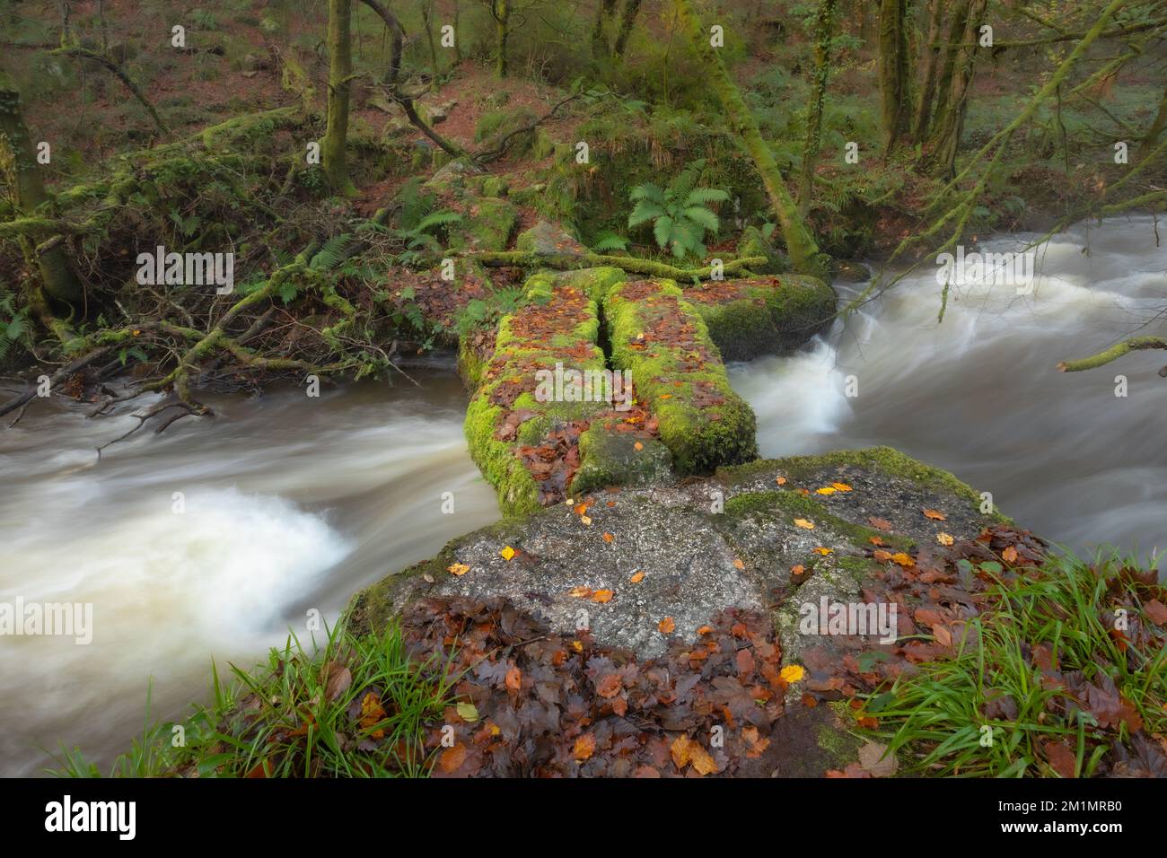 Fiume Par (Dowr Gwernan) che corre sotto un piccolo ponte in pietra di granito nella valle di Luxulyan (Glyn Gwernan) Foto Stock