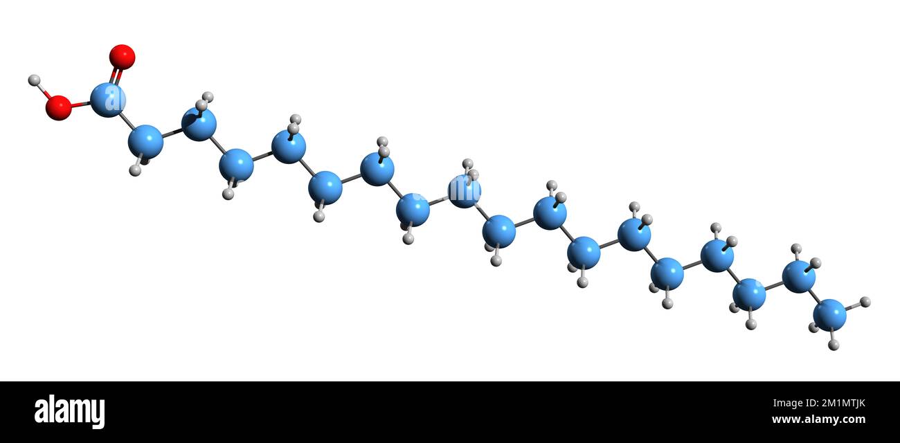 3D immagine della formula scheletrica dell'acido stearico - struttura chimica molecolare dell'acido ottadecanoico isolato su sfondo bianco Foto Stock
