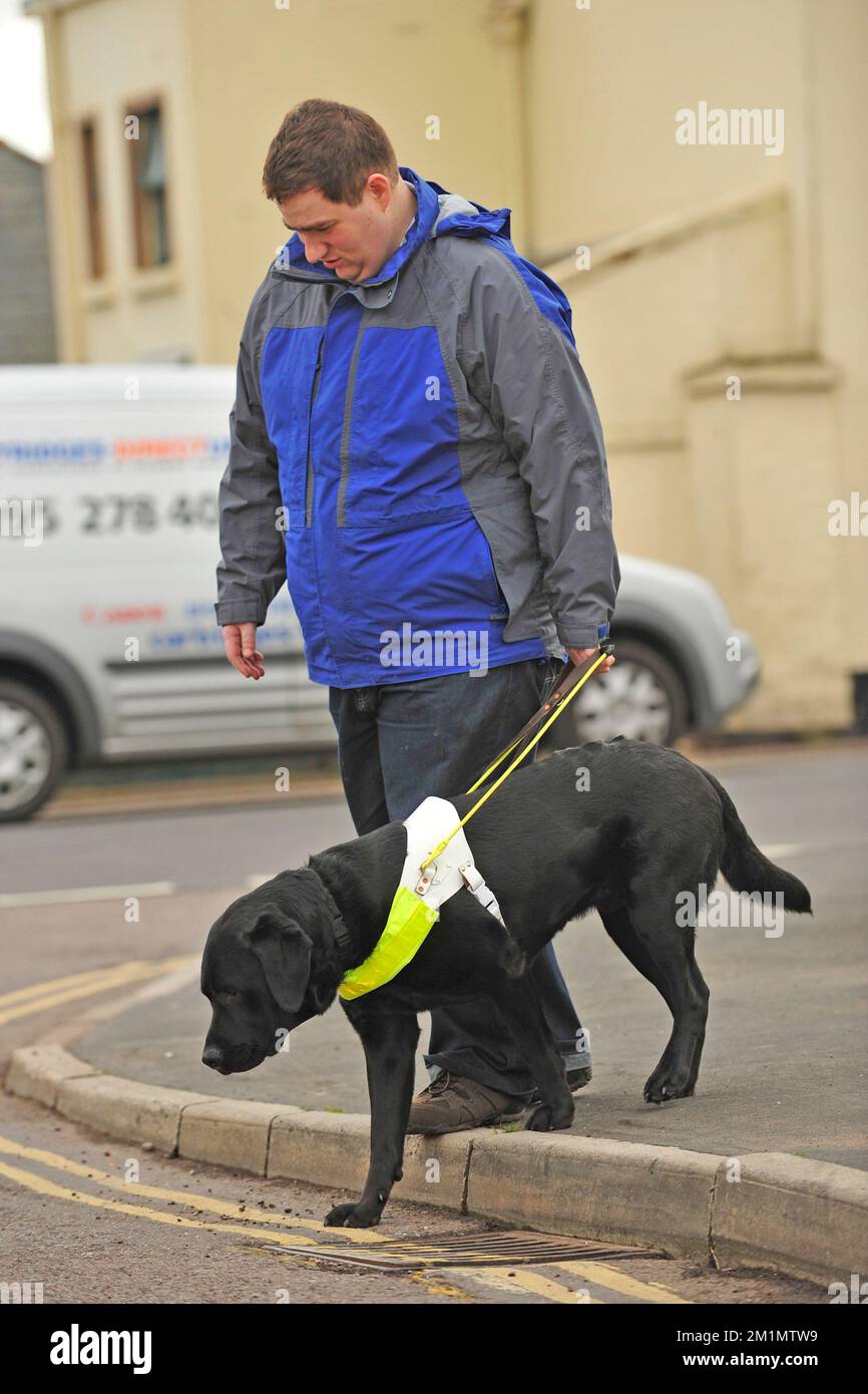 Guida cane e proprietario camminando attraverso una città nel Regno Unito Foto Stock