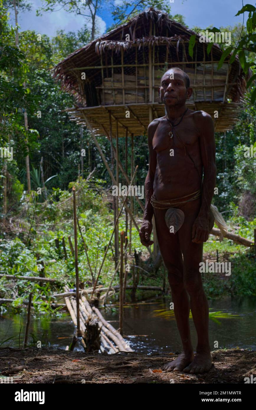 Isolato ma speciale. Nonostante la mancanza di civiltà e di informazioni moderne, la tribù Korowai ha ancora un privilegio che vi farà stupire. Prendi Foto Stock