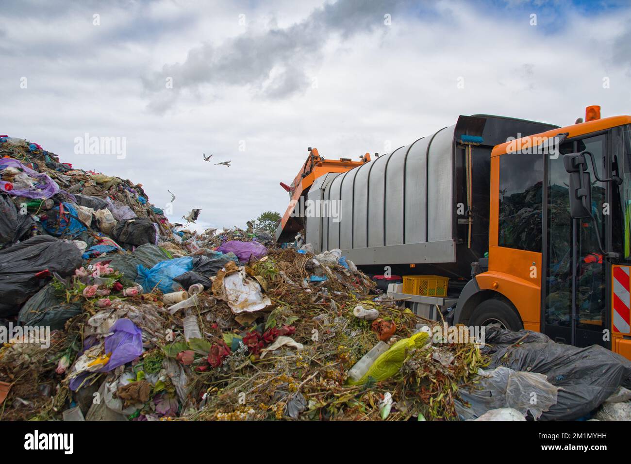 discarica inquina l'ambiente. camion di rifiuti. uccelli volano sopra discarica Foto Stock