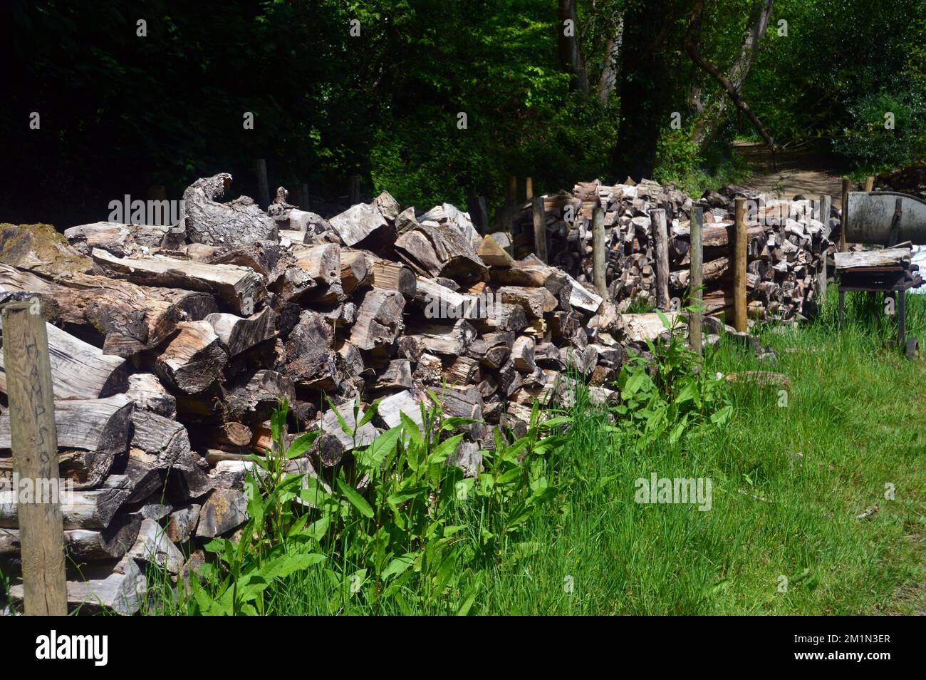 Legno secco tagliato pronto per il forno di carbone metallico nel bosco dal giro georgiano nei giardini perduti di Heligan, St.Austell, Cornovaglia, Inghilterra. Foto Stock