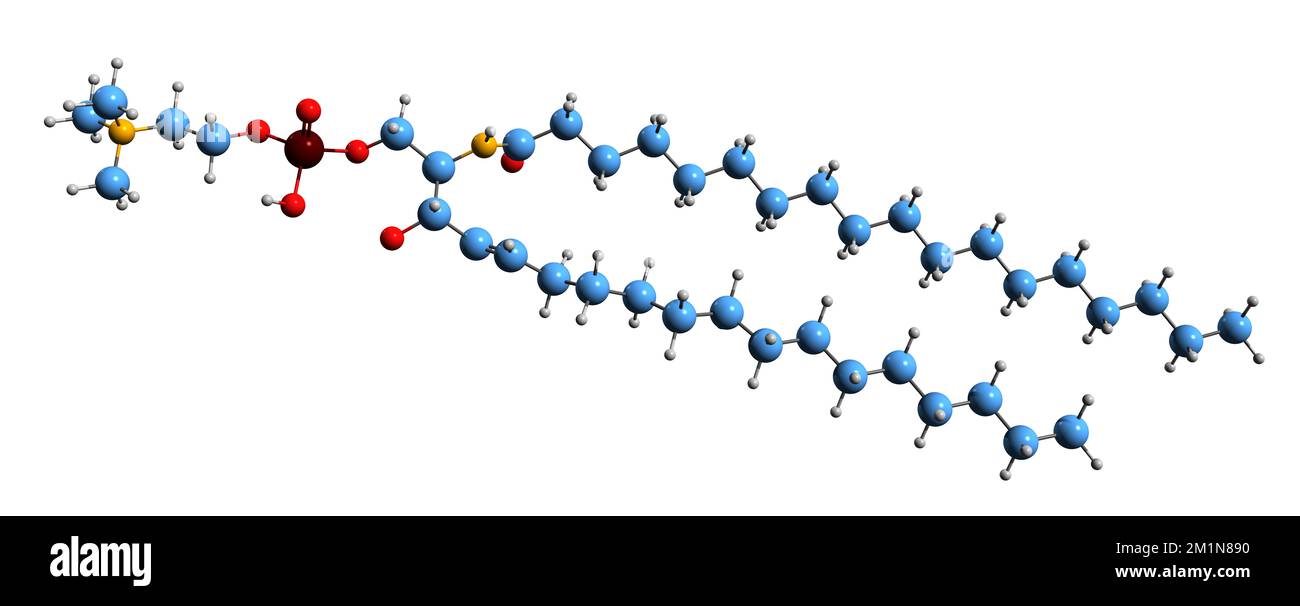 3D immagine di formula scheletrica sfingolipida - struttura chimica molecolare di amminoalcool alifatico esempio isolato su sfondo bianco Foto Stock