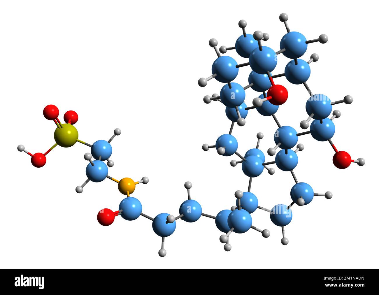 3D immagine della formula scheletrica dell'acido taurochenodeossicolico - struttura chimica molecolare dell'acido biliare 12-desossicoliltaurina isolata su backgrou bianco Foto Stock