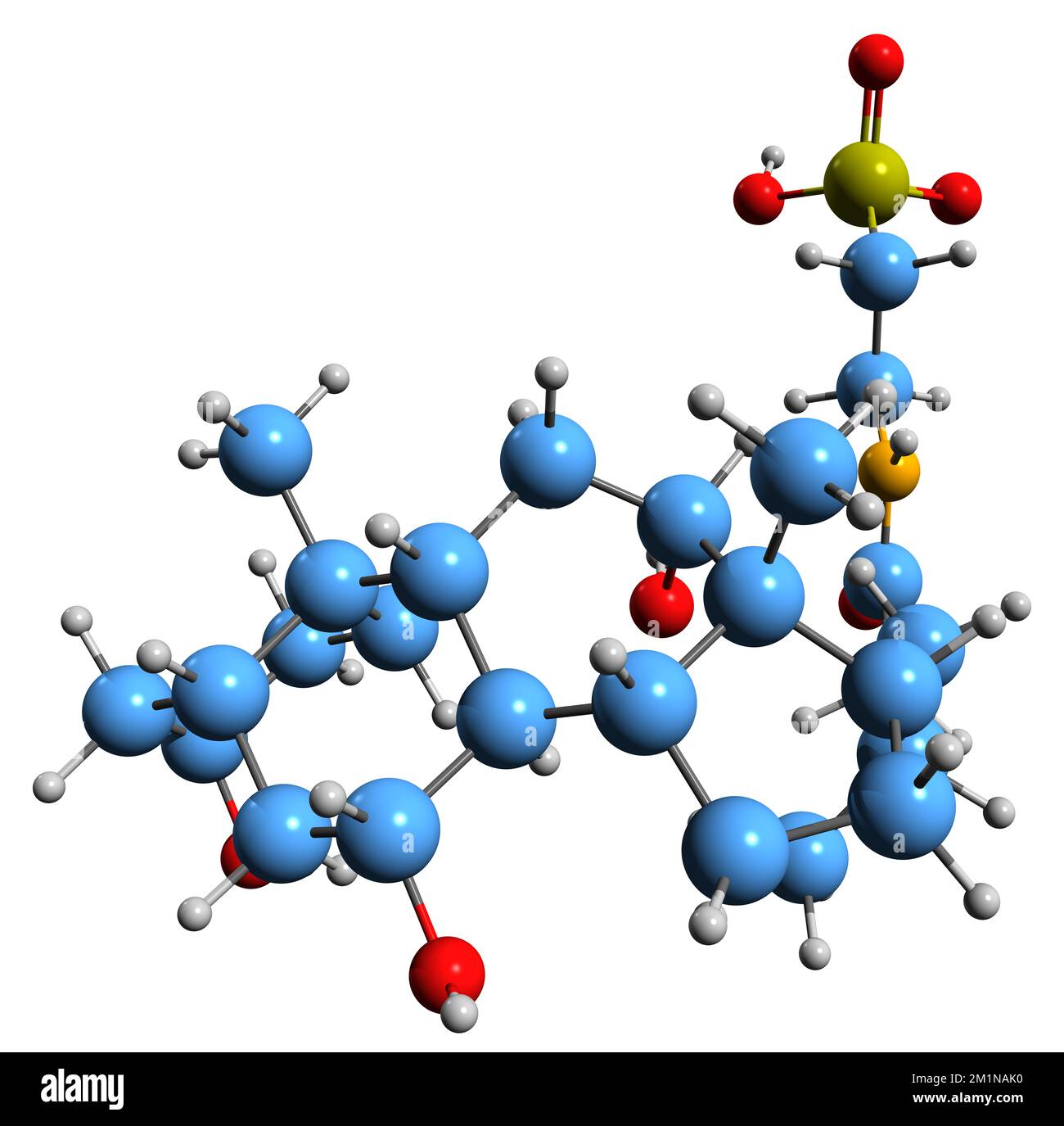 3D immagine della formula scheletrica dell'acido taurocolico - struttura chimica molecolare dell'acidum cholatauricum isolato su sfondo bianco Foto Stock