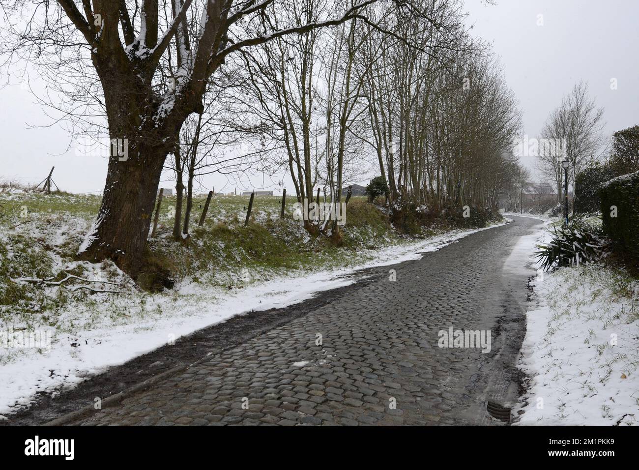 L'immagine mostra la collina di Oude Kwaremont davanti all'edizione 66th della corsa ciclistica di un giorno Kuurne-Bruxelles-Kuurne, domenica 24 febbraio 2013, a Kuurne. L'organizzazione ha deciso di annullare la gara in quanto le nevicate notturne e le temperature di congelamento hanno reso la pista troppo pericolosa da percorrere. Foto Stock