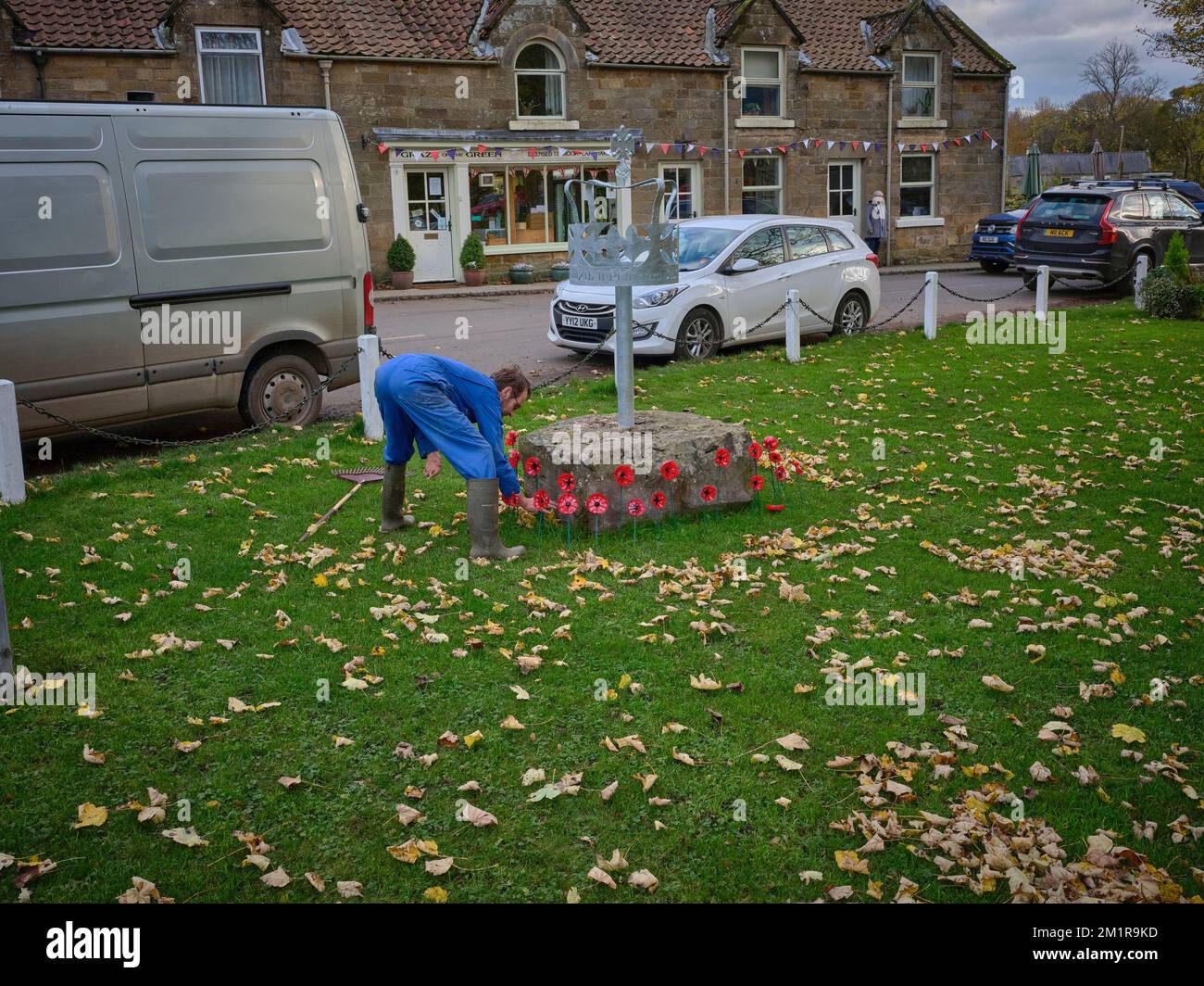 Giardiniere riordinare intorno a papaveri ricordo sul verde villaggio, Rosedale Abbey, North Yorkshire Foto Stock