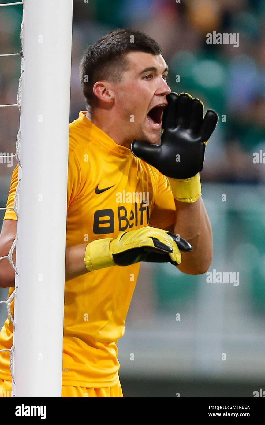 Il portiere del club, Mathew Ryan, è stato raffigurato durante la partita di calcio tra la squadra di calcio belga della prima divisione Club Brugge e la squadra polacca WKS Slask Wroclaw, la prima partita del terzo turno di qualificazione nella UEFA Europa League, giovedì 01 agosto 2013 a Breslavia, Polonia. Foto Stock