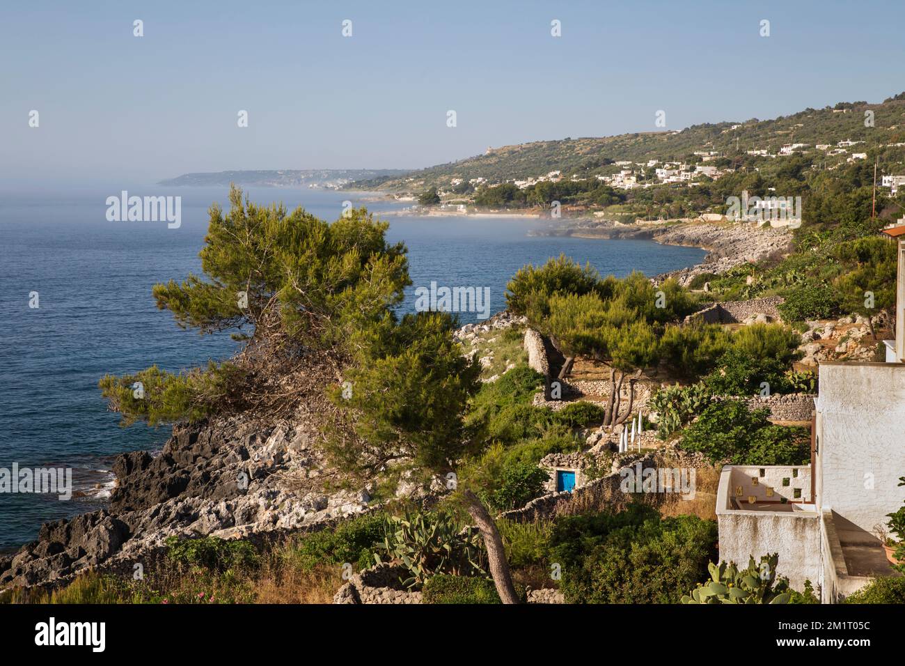 Vista verso sud lungo la costa rocciosa del mare Adriatico, Marina di Marittima, Castro, Provincia di Lecce, Puglia, Italia, Europa Foto Stock