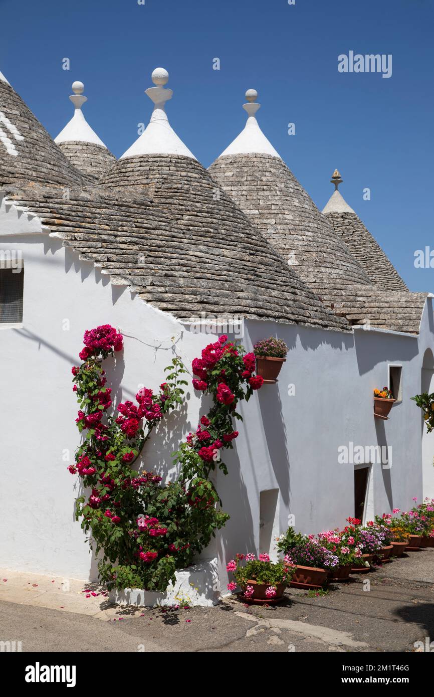 I trulli imbiancati lungo la strada del centro storico, Alberobello, Puglia, Italia, Europa Foto Stock