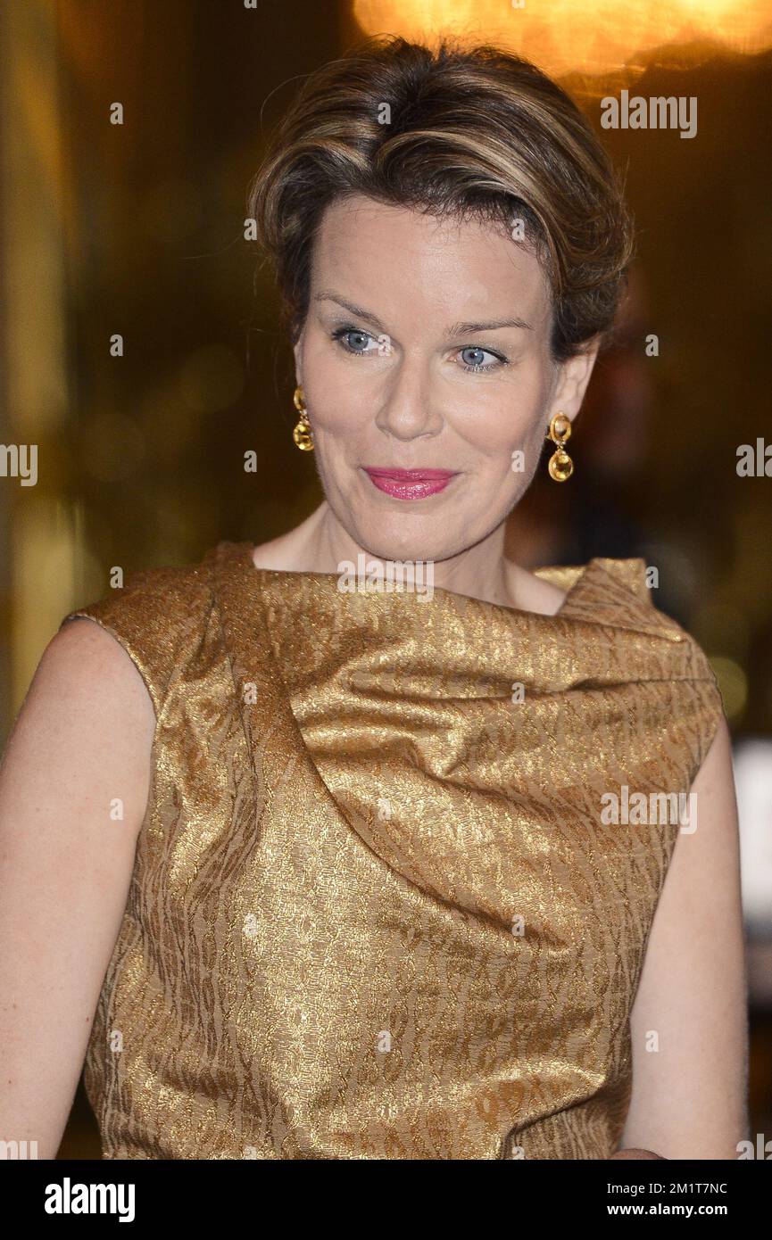 20131119 - BRUXELLES, BELGIO: La regina Mathilde ha raffigurato durante la cerimonia dedicata alle persone che hanno ricevuto nel 2018 un titolo nobiliare, martedì 19 novembre 2013, al Palazzo reale di Bruxelles. FOTO DI BELGA LAURIE DIEFFEMBACQ Foto Stock