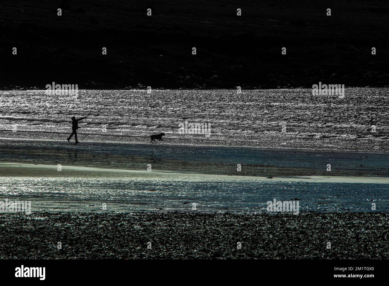 Silhouette di una persona che lancia una palla per un cane su una spiaggia. Foto Stock