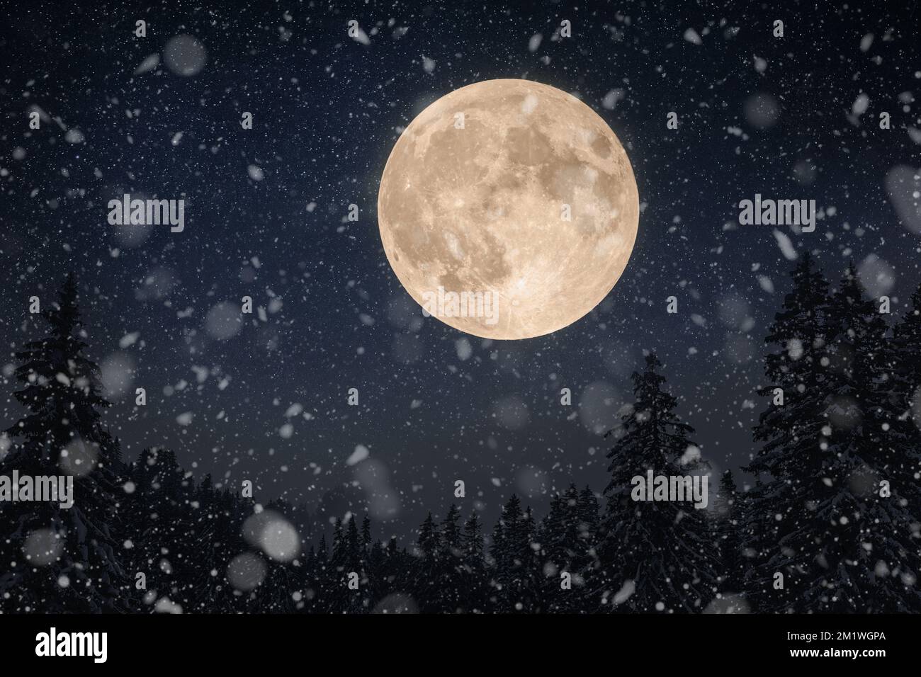 Splendida luna grande nel cielo notturno con le stelle e la foresta invernale con la neve. Vacanze invernali e paesaggio notturno. Cascate di neve Foto Stock