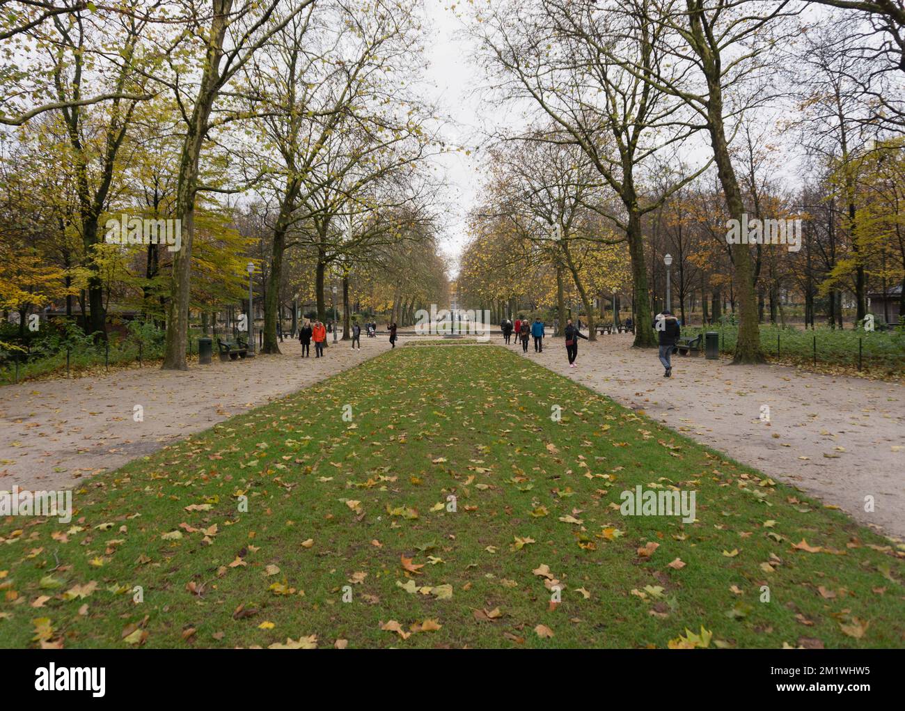 Bellissimo parco di bruxelles scena autunnale con persone che fanno una passeggiata e lasciare marrone sopra l'erba Foto Stock