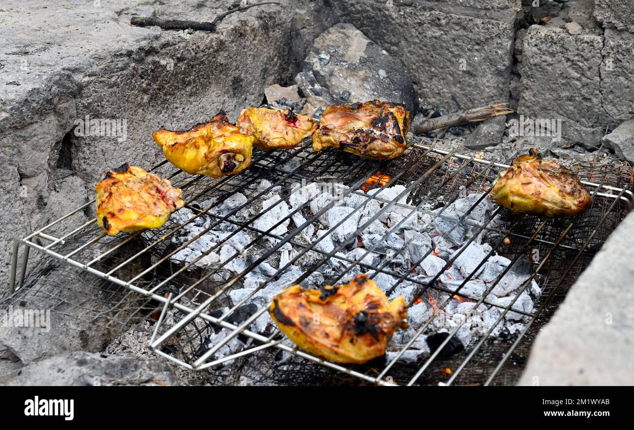 Pezzi di pollo che cucinano sul fuoco di legno del barbecue sotto Foto Stock