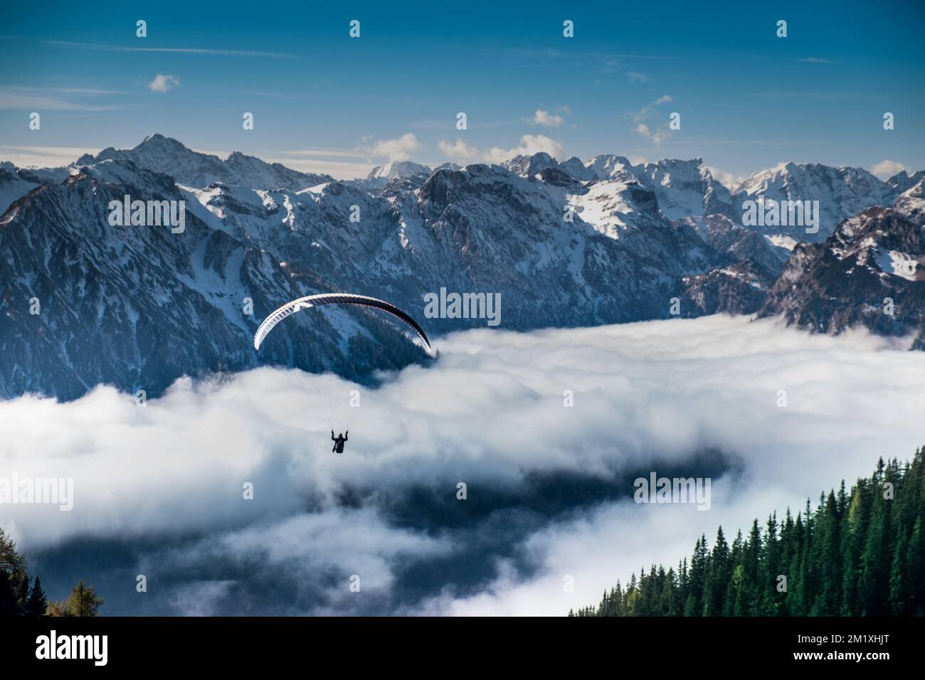 Gleitschirmflieger vor Karwendelkulisse über dem Achensee Foto Stock