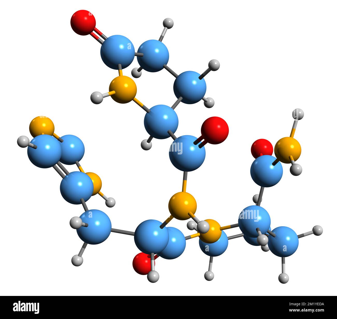 3D immagine dell'ormone tiroideo-stimolante formula scheletrica - struttura chimica molecolare della tirotropina isolata su sfondo bianco Foto Stock