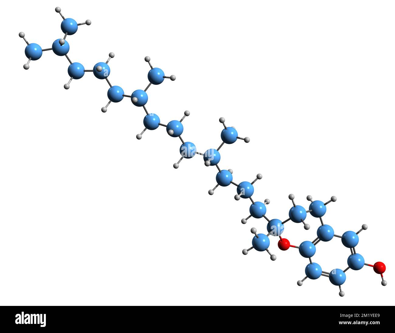 3D immagine della formula scheletrica di Tokol - struttura chimica molecolare del D-Desmetiltocoferolo isolato su sfondo bianco Foto Stock