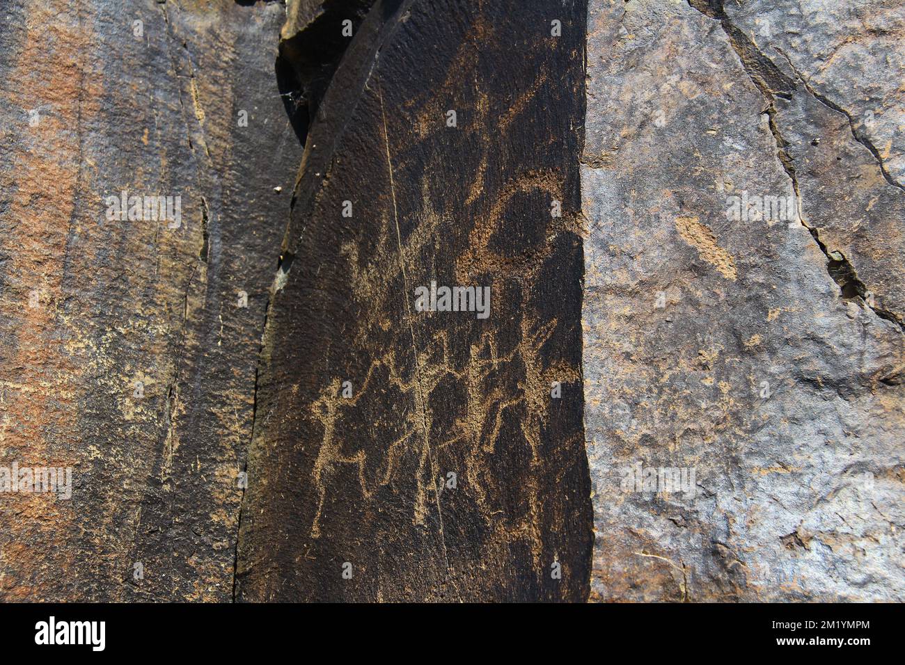 Immagini antiche di persone antiche su una grande pietra piatta, petroglifi nel tratto Tammaly-Tas Foto Stock