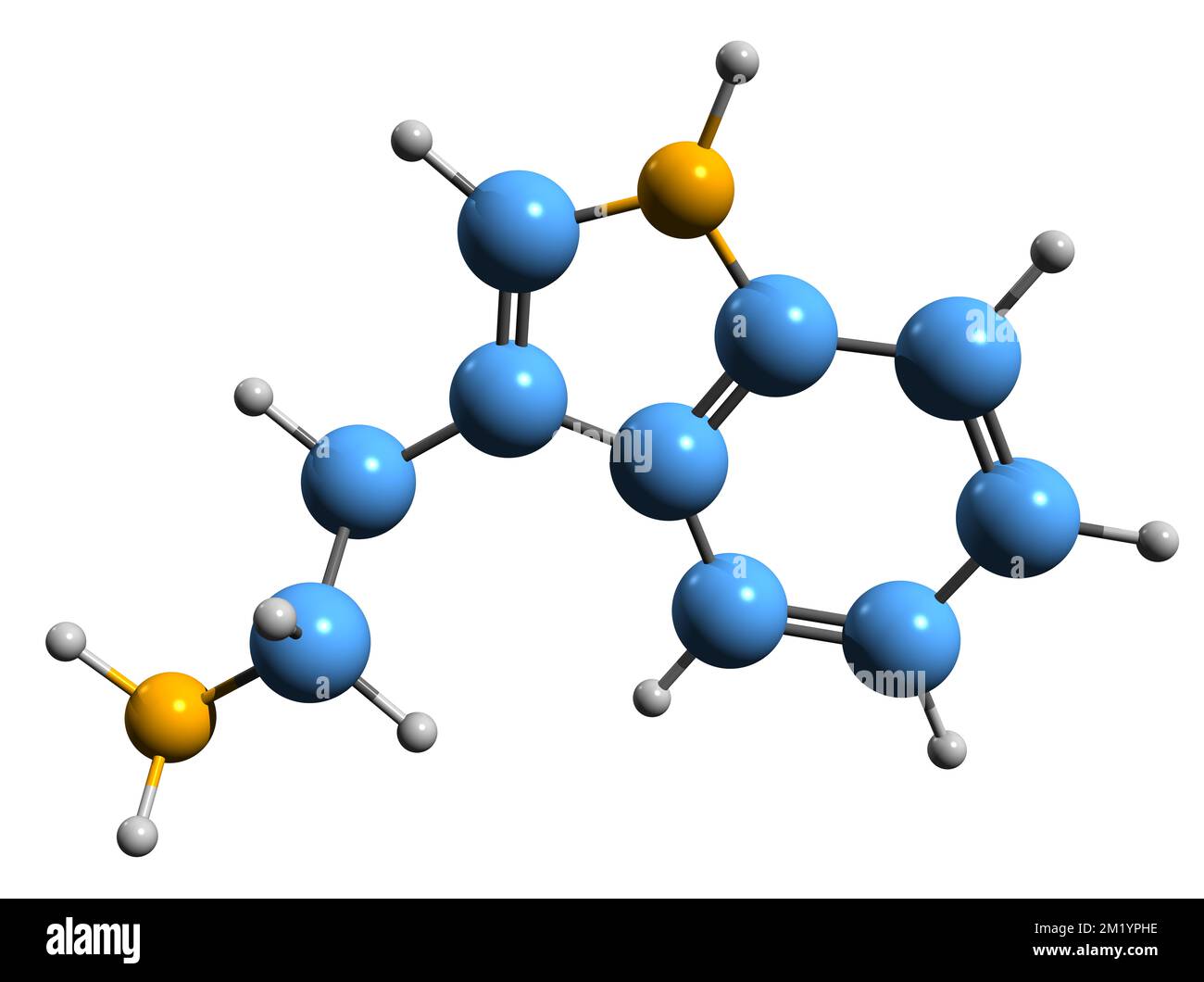 3D immagine della formula scheletrica della triptamina - struttura chimica molecolare del metabolita dell'indolamina isolato su sfondo bianco Foto Stock