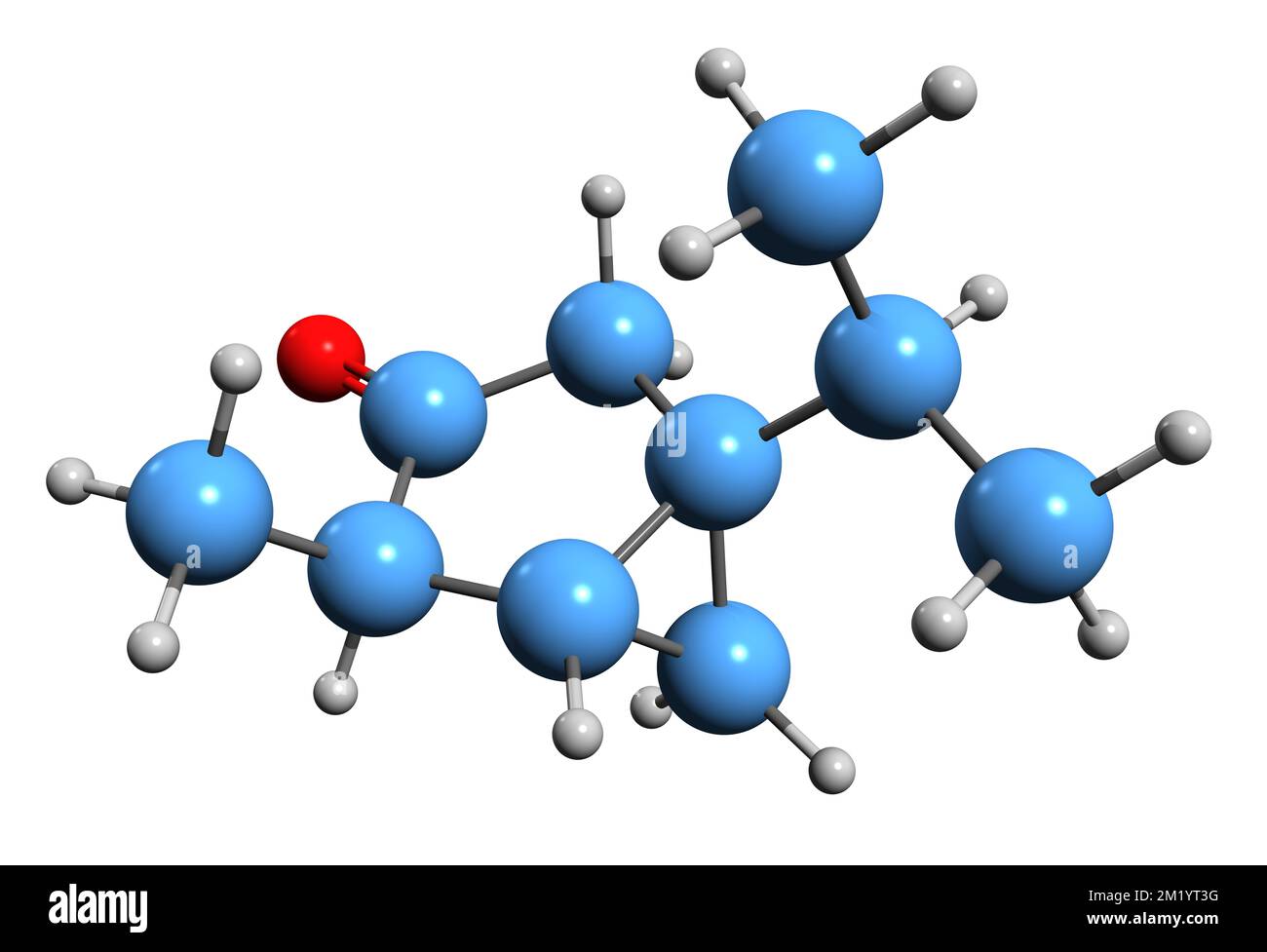 3D immagine della formula scheletrica di Thujone - struttura chimica molecolare del monoterpene 3-Thujanone isolato su sfondo bianco Foto Stock