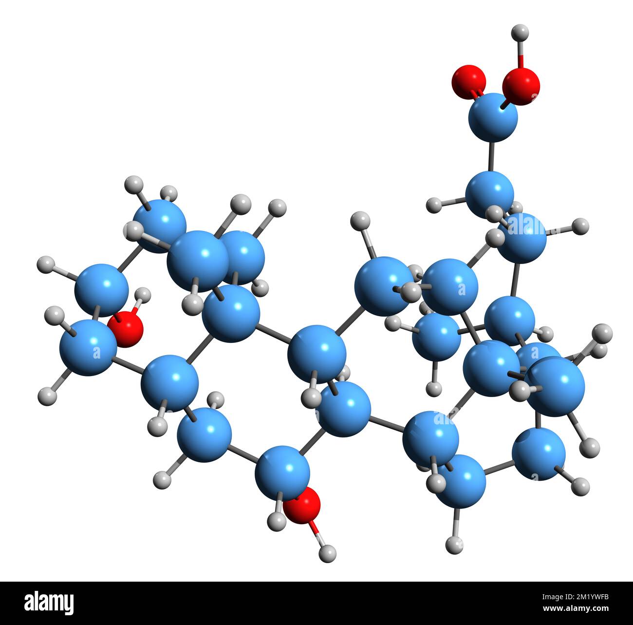 3D immagine della formula scheletrica dell'acido ursodesossicolico - struttura chimica molecolare dell'ursodiolo isolato su sfondo bianco Foto Stock