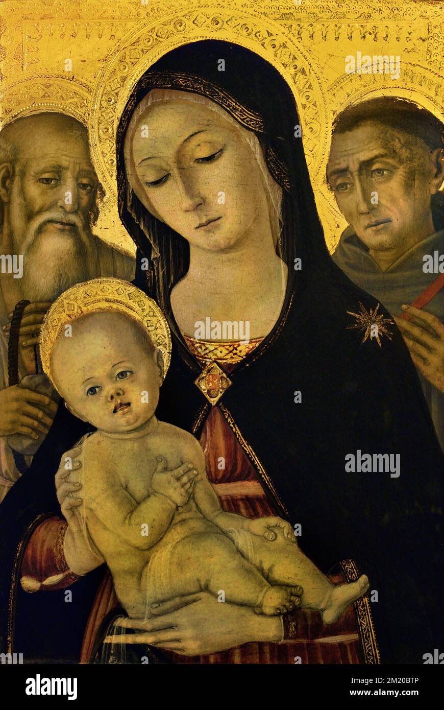 La Madonna col Bambino fra i Santi Girolamo e Francesco - la Madonna ...