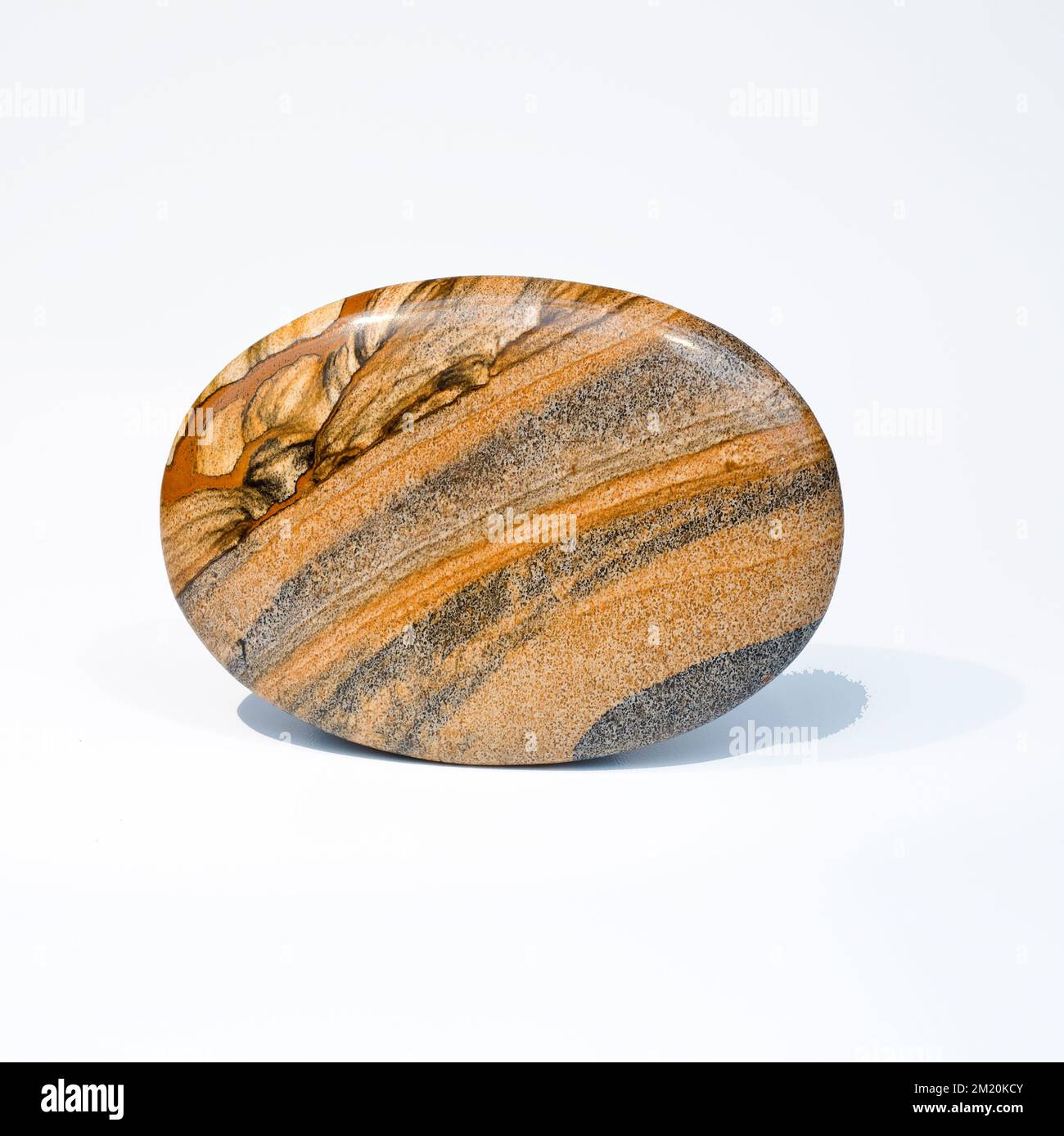 Foto Jasper Palmstone un cristallo semi prezioso che guariscono Gemstone Foto Stock