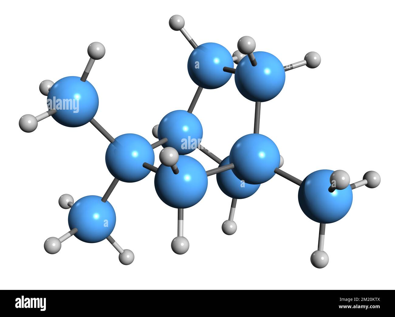 3D immagine della formula fenhan scheletrica - struttura chimica molecolare del terpene isolato su sfondo bianco Foto Stock