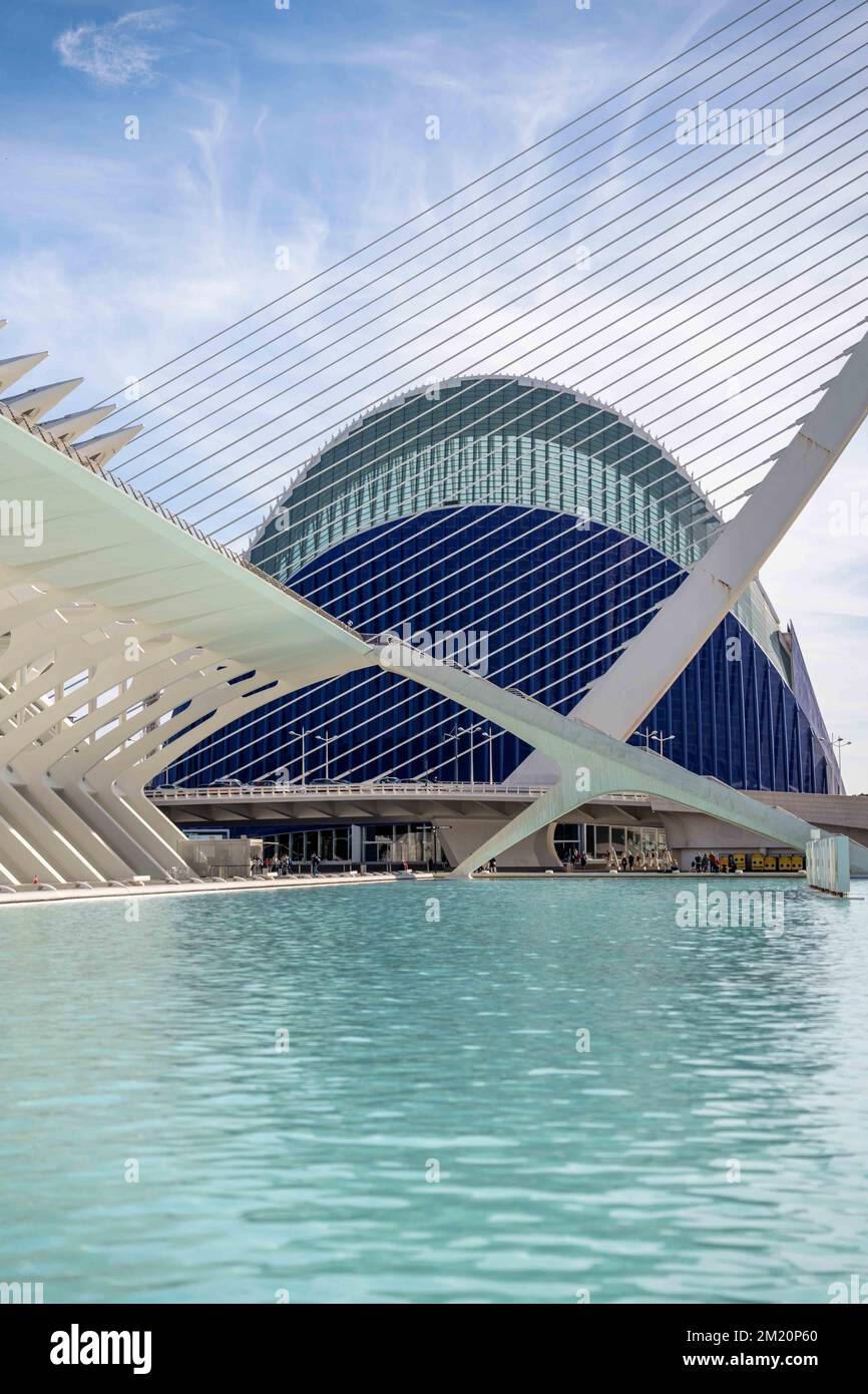 Lago ed edifici nella Città delle Arti e delle Scienze, Valencia Foto Stock