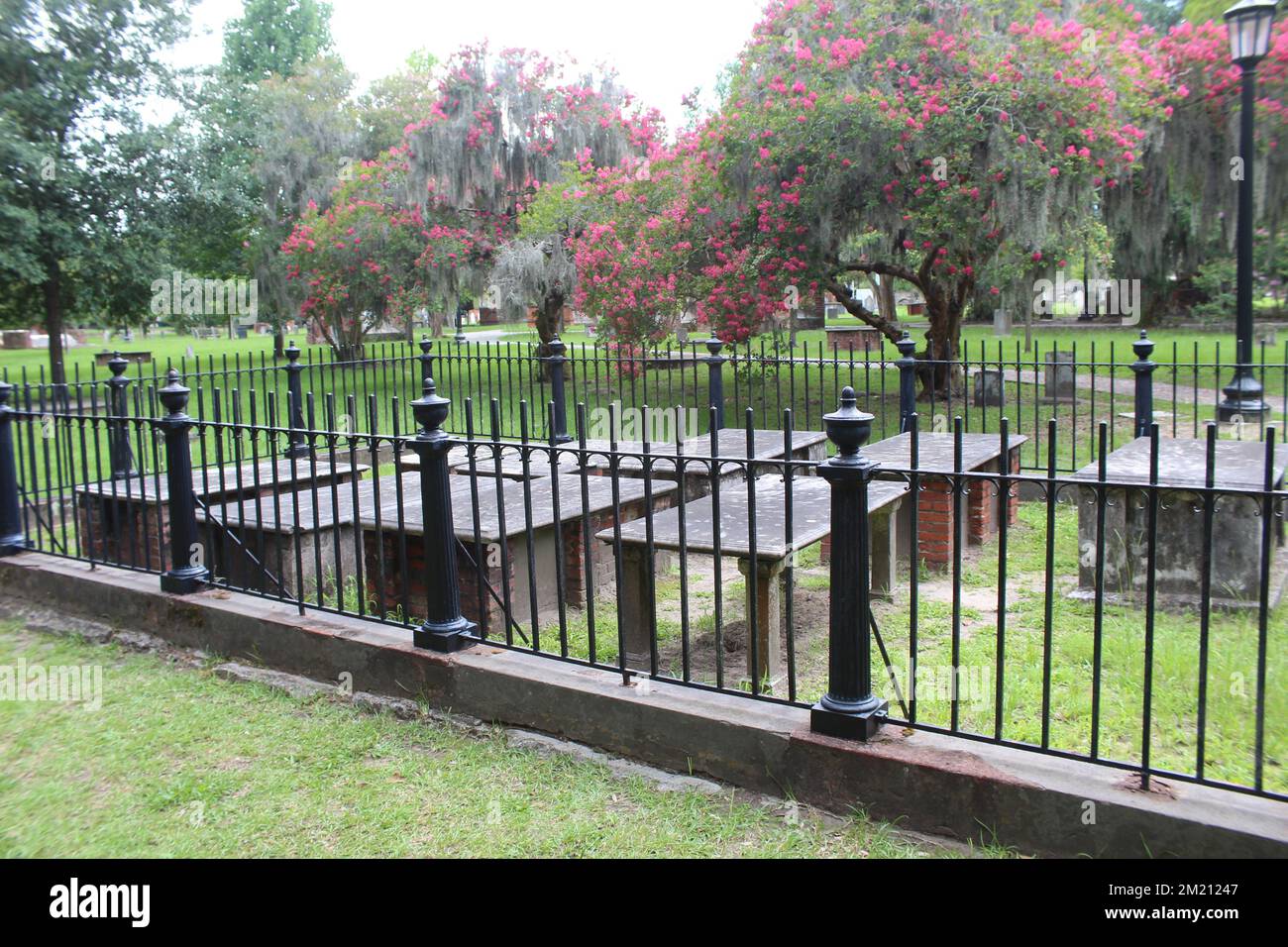 Tombe al cimitero del parco coloniale di Savannah, Georgia, con alberi di mirto cremoso e muschio spagnolo sullo sfondo Foto Stock