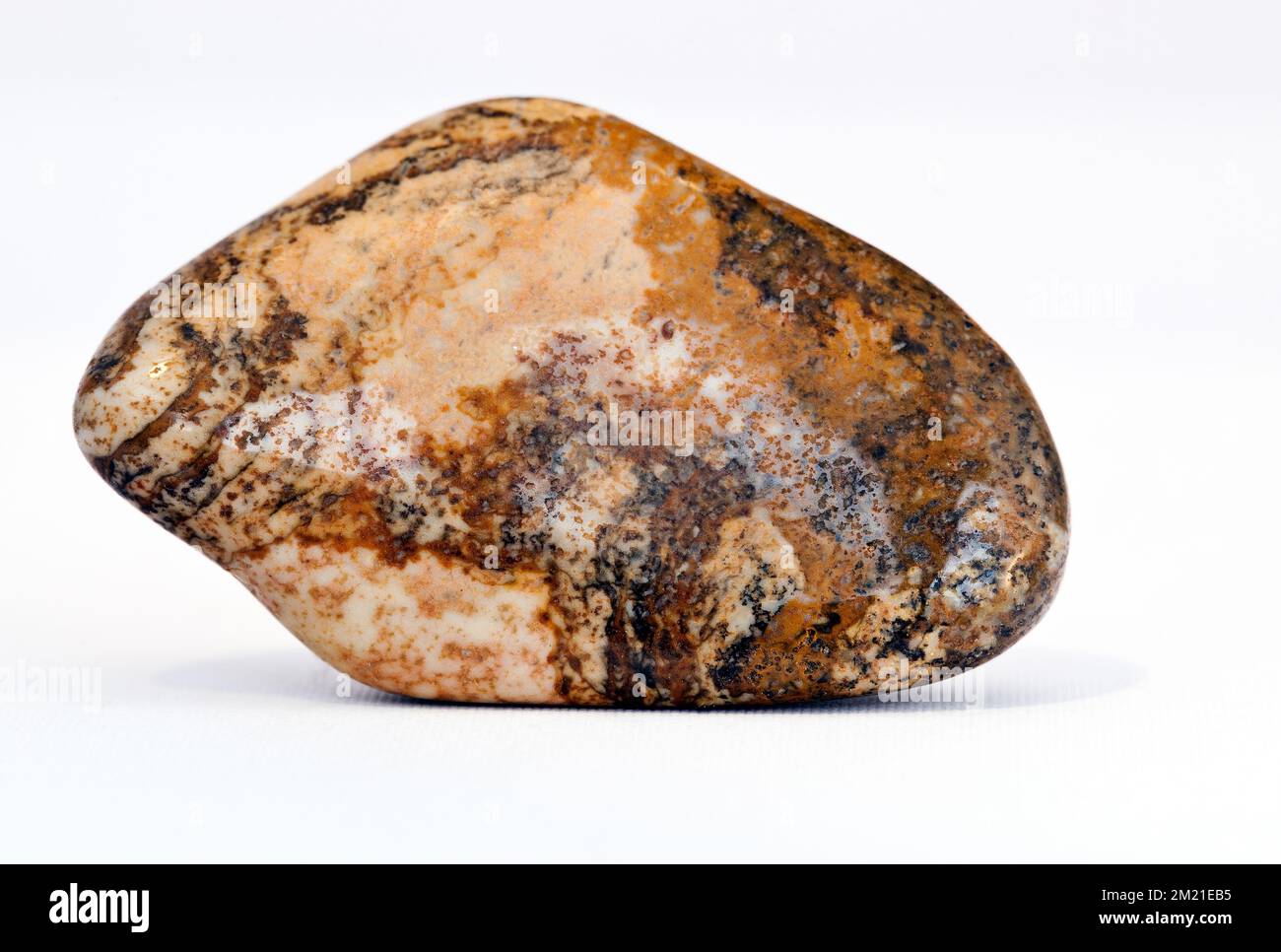 Macro foto a colori di una lucida ' Picture Stone Jasper ' una gemma di cristallo semi-preziosa utilizzata nella terapia di guarigione dei cristalli Foto Stock