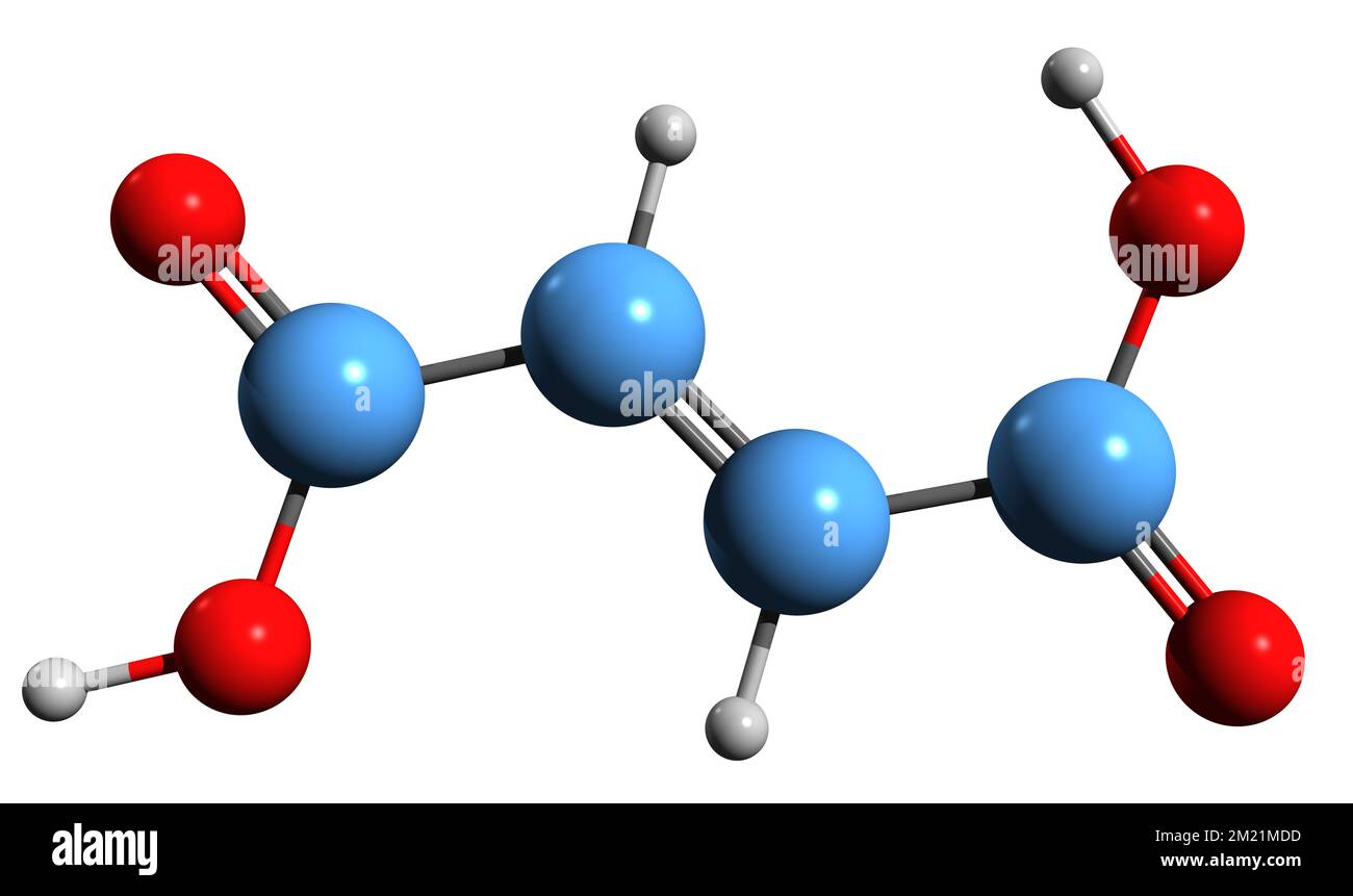 3D immagine della formula scheletrica dell'acido fumarico - struttura chimica molecolare dell'acido etilendicarbossilico isolato su sfondo bianco Foto Stock