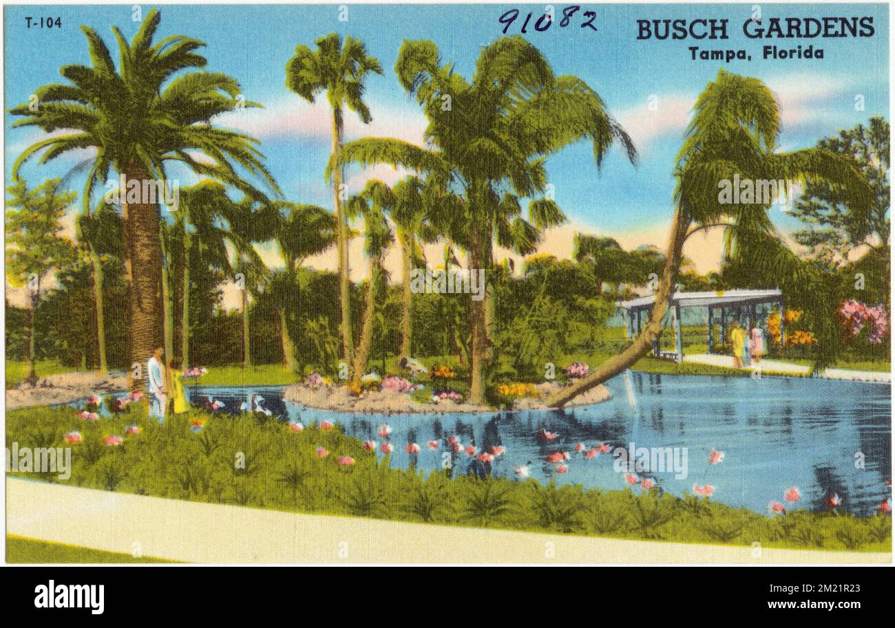 Busch Gardens, Tampa, Florida, Parchi, Tichnor Brothers Collection, Cartoline degli Stati Uniti Foto Stock