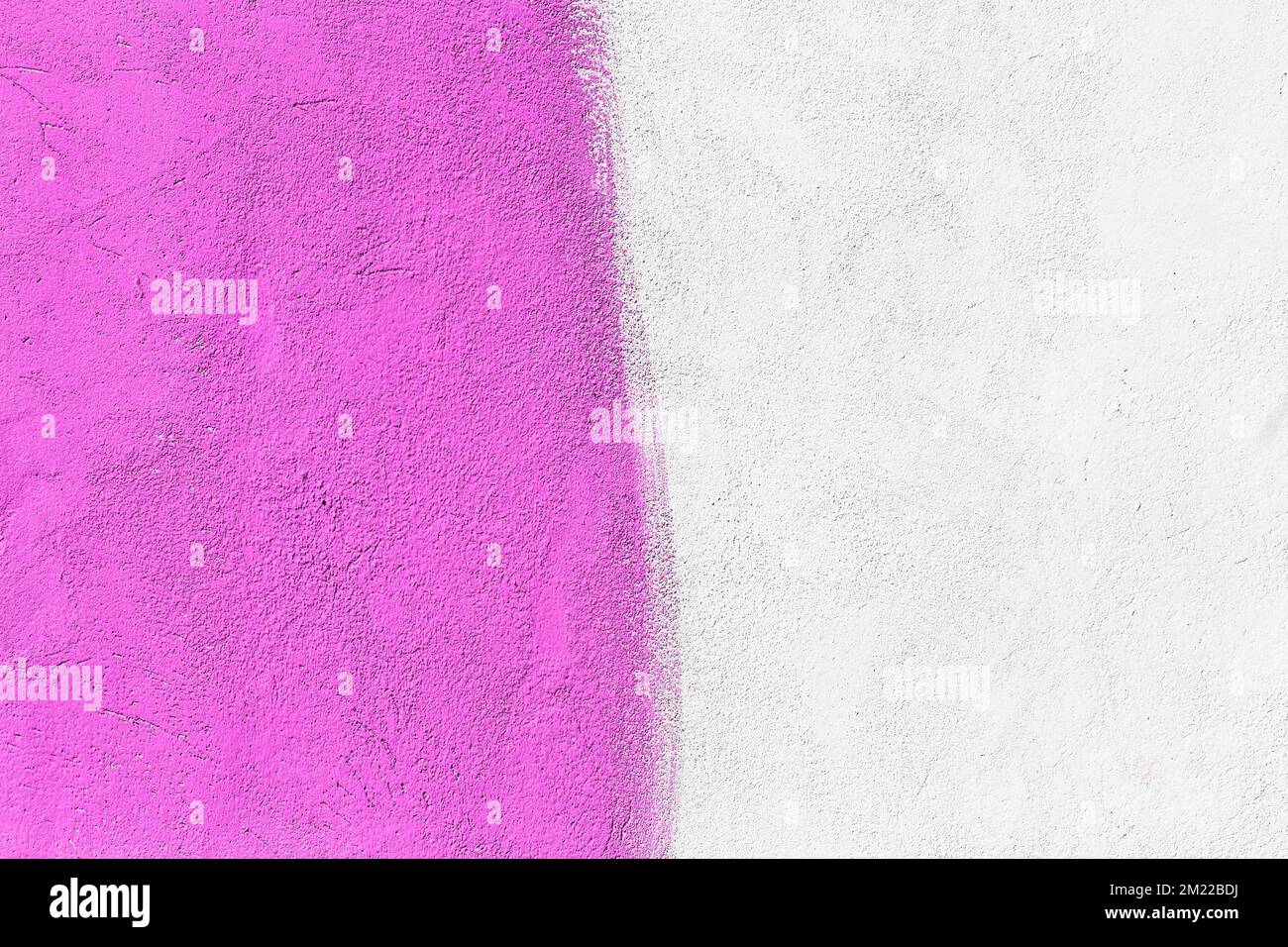 Parete due colori tono: Rosa viola e bianco vernice su cemento superficie design astratto texture sfondo vuoto. Foto Stock