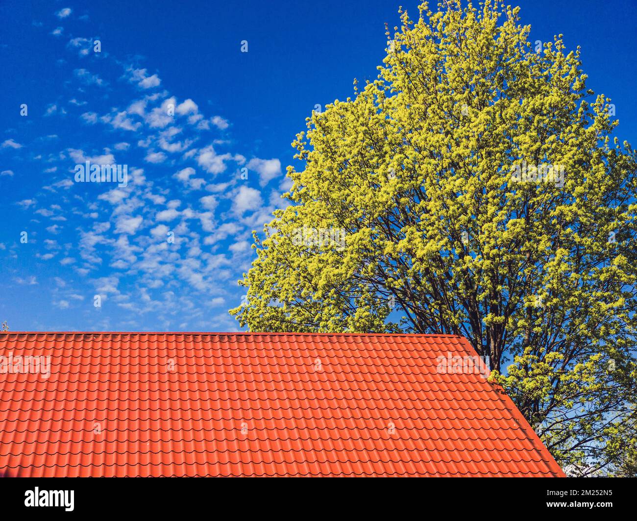 Tetto con tegole rosse. Nuvole nel cielo blu. Albero verde. Foto Stock