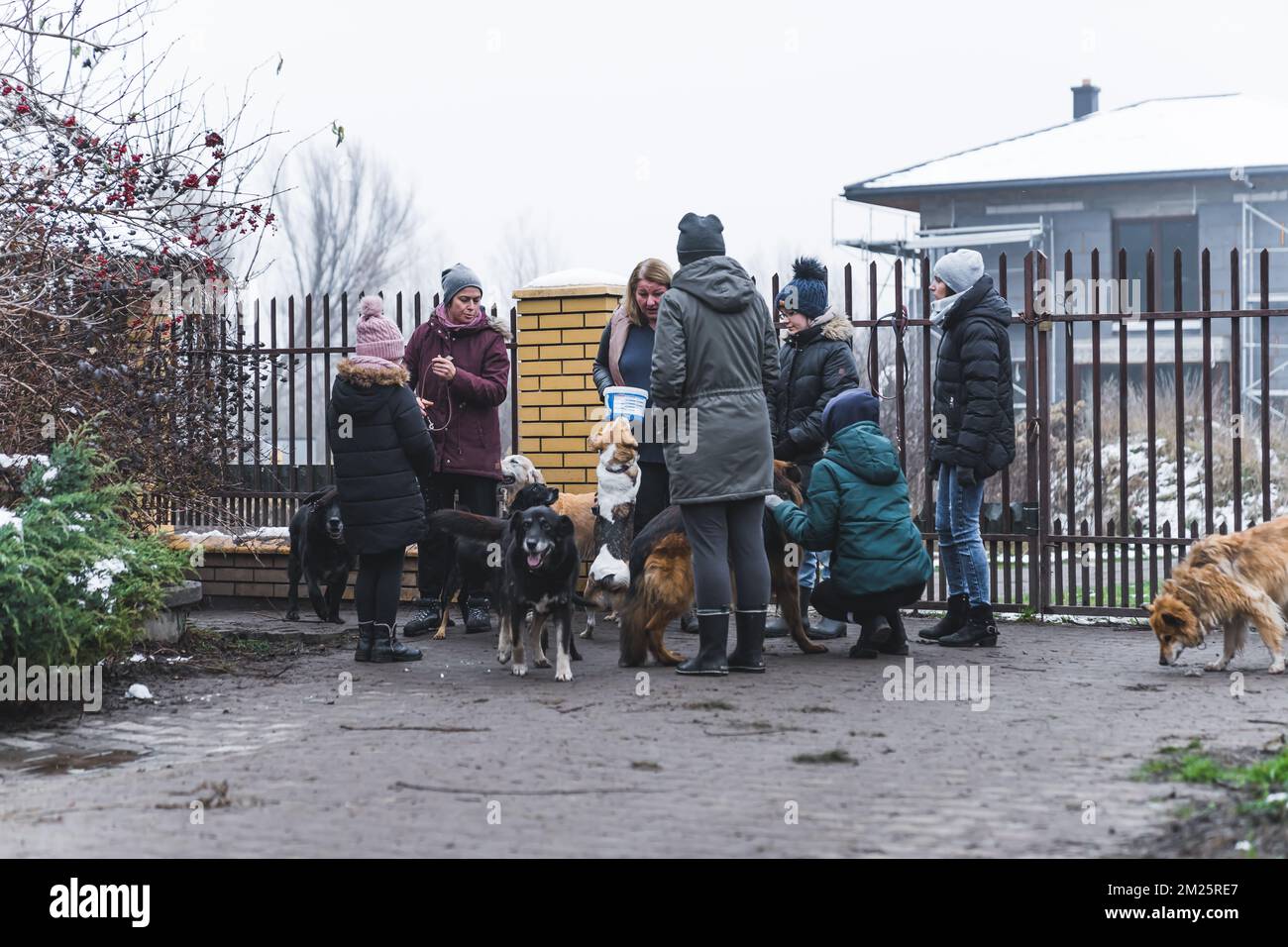 Incontro di cani riparo volontari lavoratori accanto alla recinzione uscita. Gruppo di volontari in abiti caldi si prepara a camminare i cani. Vista completa all'aperto. Foto di alta qualità Foto Stock