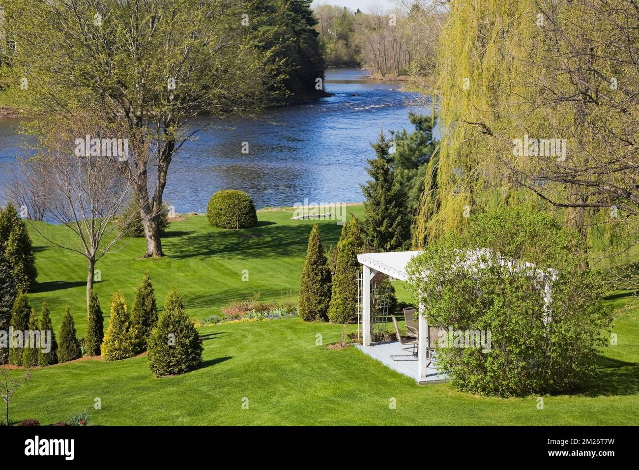 Pergola e Thuja - Cedri in confini di pacciame e Salix- piangendo salice albero in giardino cortile in primavera. Foto Stock
