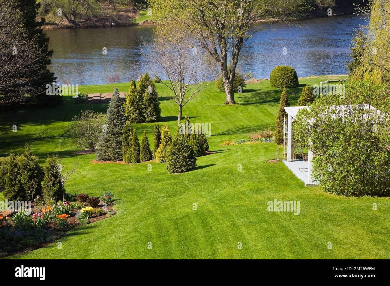 Prato verde inclinato con pergola e Thuja - Cedro in bordi di pacciame nel giardino cortile in primavera. Foto Stock