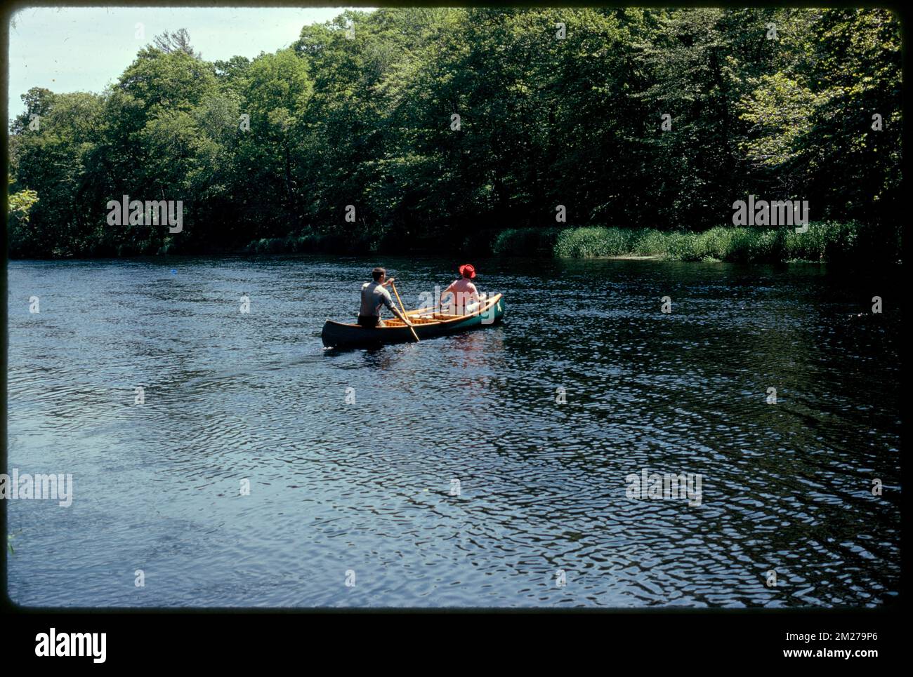 Charles River Audubon Society Reservation a Natick Off Rt. 16 , fiumi, Canoe, parchi statali e riserve. Fotografie di Ernst Halberstadt Foto Stock