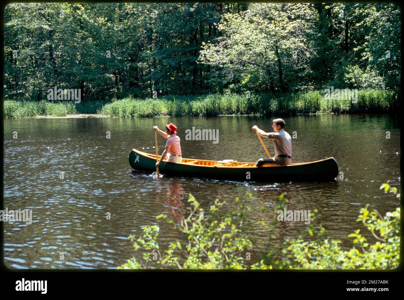Charles River Audubon Society Reservation a Natick Off Rt. 16 , fiumi, Canoe, parchi statali e riserve. Fotografie di Ernst Halberstadt Foto Stock