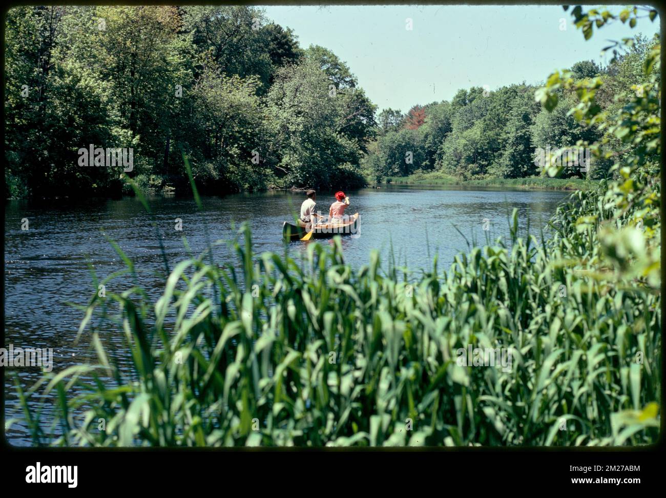 Charles River Audubon Society Reservation a Natick Off Rt. 16 , fiumi, Canoe, parchi statali e riserve. Fotografie di Ernst Halberstadt Foto Stock