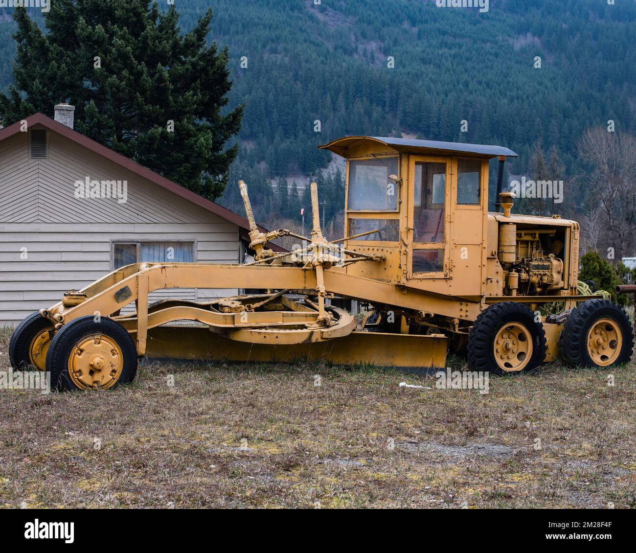 Vendemmia a North Bend, British Columbia, Canada Foto Stock