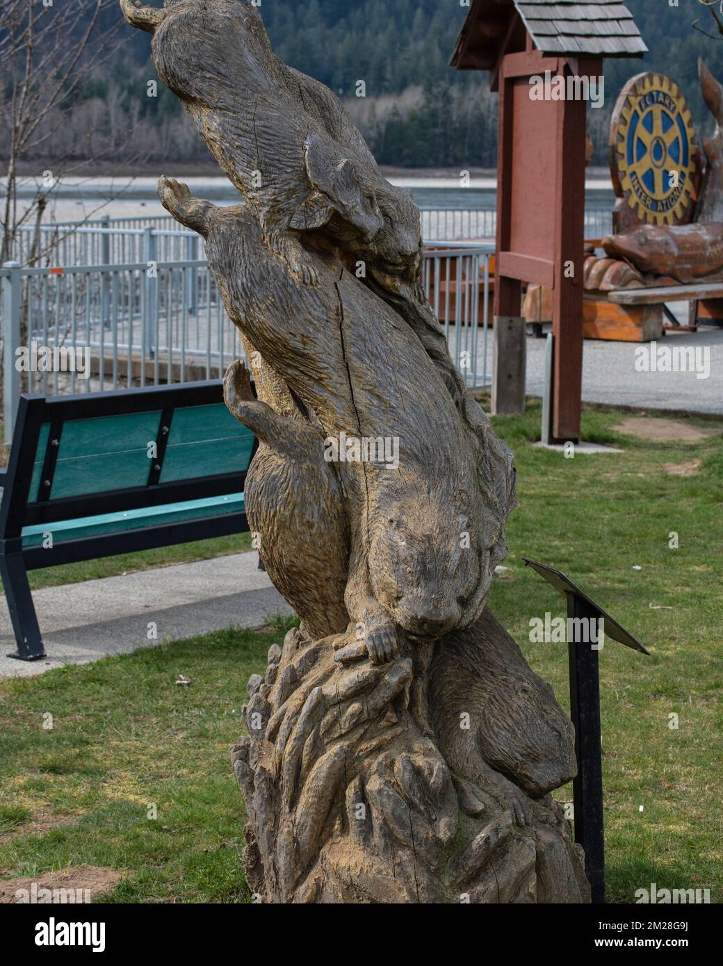 Lontre scultura in Hope, British Columbia, Canada Foto Stock